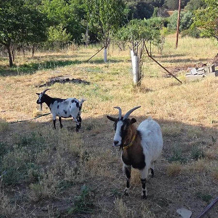 T2 Appartamento Petreto-Bicchisano
